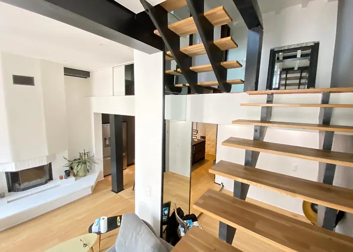 דירה 06bx Loft Pessicart ניס